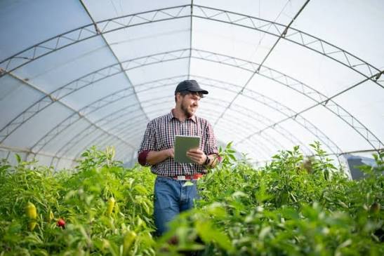 Agribusiness Growth Strategy